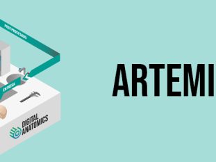 DA_3_ARTEMIS 3D 1