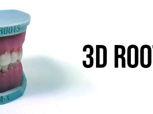 DA_5_3D ROOTS SIM-X-1