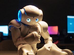 NAO Therapist