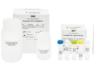 Imagenes_producto_1164352_Mesa-de-trabajo-1-1